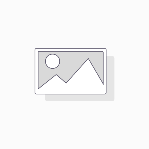 FILTRO GASOLINA GEO METRO (95-) (WIZ)