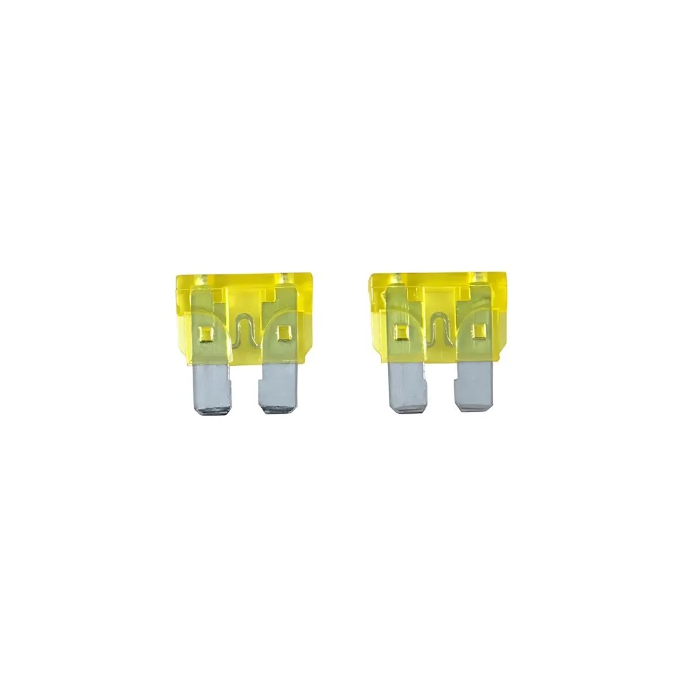FUSIBLE MUELA 20 AMP.