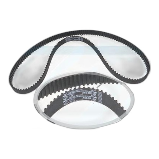 FAJA DIST. NIS. SUNNY CD17 (86-96) (117D) (SUN)
